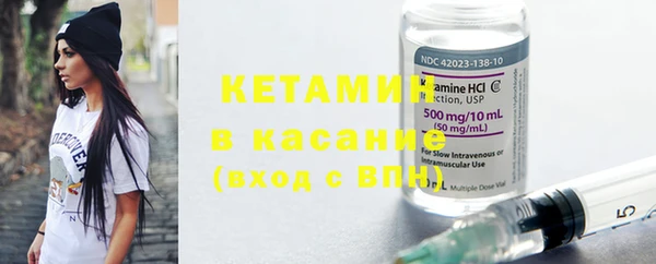 сатива Аркадак