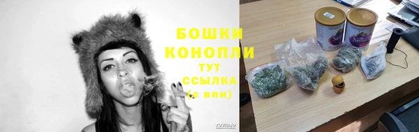 сатива Аркадак