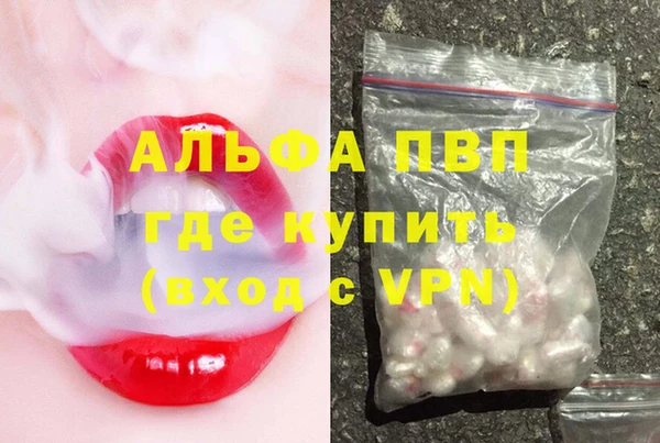 сатива Аркадак