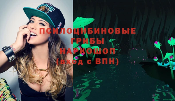 эйфоретик Армянск