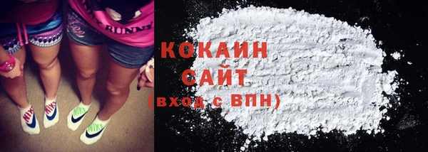 сатива Аркадак
