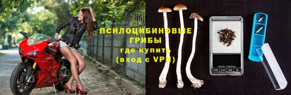 сатива Аркадак