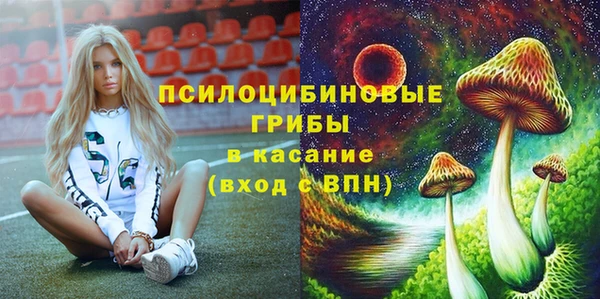 сатива Аркадак