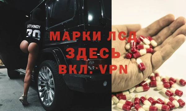сатива Аркадак